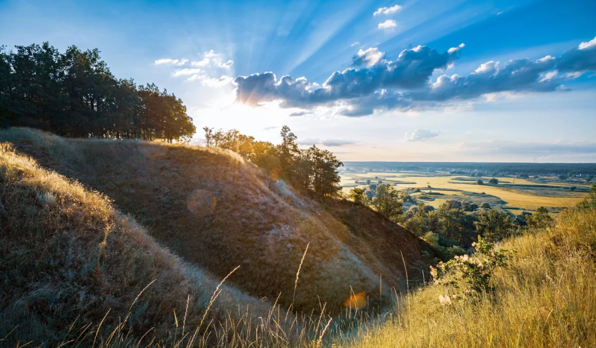 Nawet Nie Myśl Aby odnowić dom Zanim Nie Poznasz Tych 11 Sposobów.