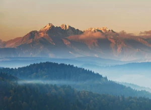 Kto nie musi pozycjonować firmę lokalną?
