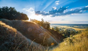 opublikować artykuły sponsorowane? Tak czy nie?