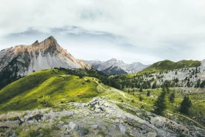  Is it worth buying us auto parts in 2020? 