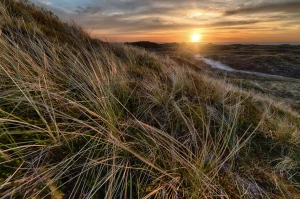 W 2023 można dobrze  opublikować artykuły ale czy za za 10 lat też?